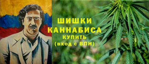 гашик Кинешма
