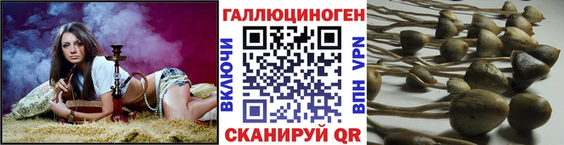 Псилоцибиновые грибы прущие грибы  Купить закладки  Грязовец 
