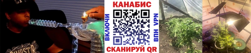 Купить где  Грязовец  Канабис ГИДРОПОН 